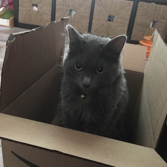 Meet your Posher, Meitra - Picture 3 of 7